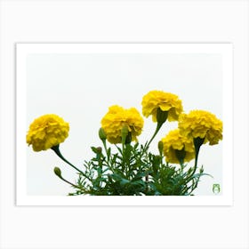 Yellow Carnations 20210703 308ppub Art Print