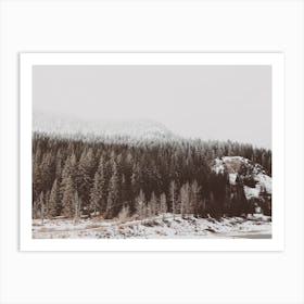 Snowy Forest Floor Art Print