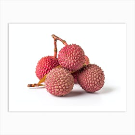 Lychee Fruit 9 Art Print