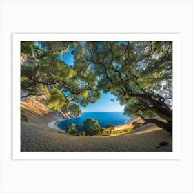 Tree On The Beach Art Print