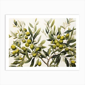 Olive Tree 1 Art Print