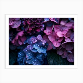 Purple Hydrangeas Art Print