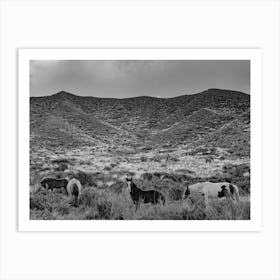 Horses In The Mountains Art Print