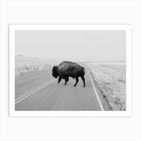 Buffalo Bison Art Print