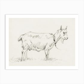 Standing Goat (1809), Jean Bernard Art Print