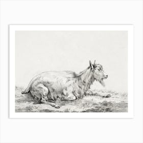 Lying Goat 1, Jean Bernard Art Print