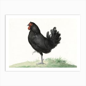 Standing Black Chicken, Jean Bernard Art Print