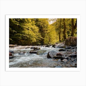 River In The Forest Art Print