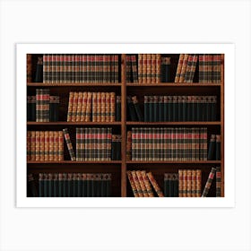 Books Bookshelf Bookcase Library Art Print