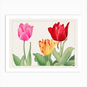 Tulip, Japanese Woodblock Print Art Print