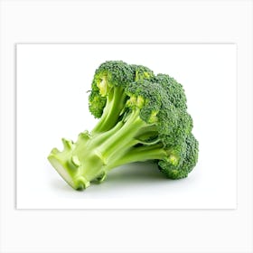 Broccoli On A White Background Art Print