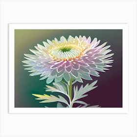 Chrysanthemum 13 Art Print