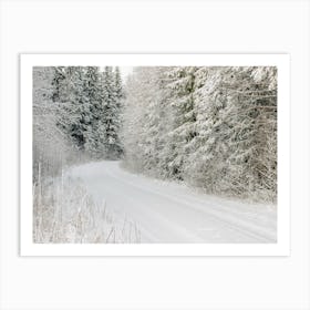 Coniferous Tree Winter Road Art Print