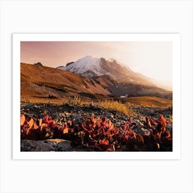 Autumn Wildflowers - Mount Rainier National Park Art Print