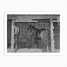 Son Of Tenant Farmer Harnessing Horse Near Muskogee, Oklahoma, See General Caption No, 21 By Russell Lee Art Print