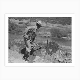 Untitled Photo, Possibly Related To Mr, Johnson, Fsa (Farm Security Administration) Client With Part Interest In Art Print