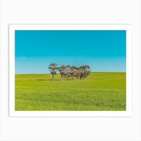 Green Field With Trees Art Print