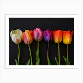 Tulip In Different Colors 1 Art Print