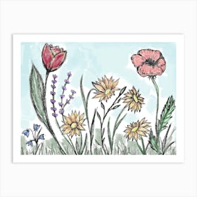 Flower Nature Meadow Multicoloured Beautiful Flowers To Paint Draw Flower Meadow Art Print