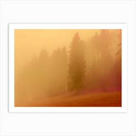 Foggy Morning in forest Art Print