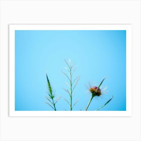 Flux Schnell Create A Highresolution Professionalquality Image 2 (3) Art Print