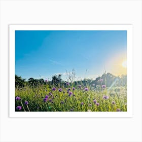 A Bright Sunrise Casting A Luminescent Glow On A Lush Countryside Garden During Summer Awash With P 2 1 Art Print