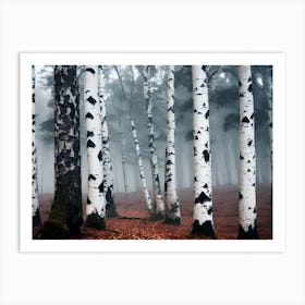 Birch Forest 79 Art Print