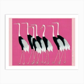 Pink Japanese Cranes Art Print