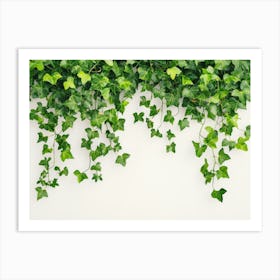 Curly Ivy Leaves Isolated on Light Background Art Print