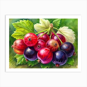 Red And Black Currants Watercolor Painting Art Print