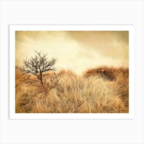 Sand Dunes Observations Art Print