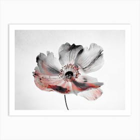 Black And White Flower Art Print