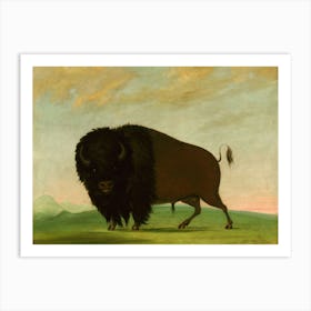 Vintage Bison Art Print