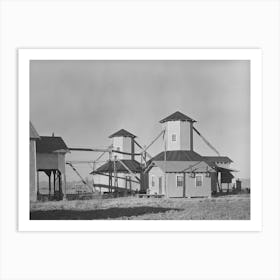 Cotton Seed Storage Warehouse Near Lake Providence, Louisiana By Russell Lee Art Print