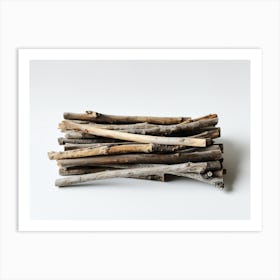 Twigs 5 Art Print