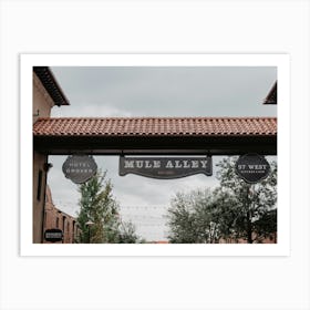 Mule Alley Signs Art Print