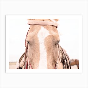 Western Horse Tack Art Print