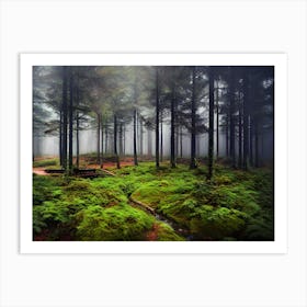 Forest By Daniel Krzywa Art Print