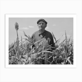 Untitled Photo, Possibly Related To Mr Wright, Tenant Farmer Of Mr, Johnson And In Cooperative With Him In Irrigatio 1 Art Print