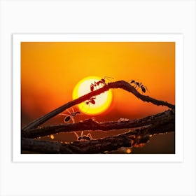 Ant Colony Cooperating Harmoniously Silhouetted Against A Radiant Sunset Amber And Crimson Hues Me (3) 2 Art Print