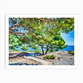 Coastal Path Through Trees in Cassis Provence France. A winding dirt path leads through a grove of lush green trees, their branches reaching out towards a clear blue sea in the distance. The path is bordered by rocks and sparse vegetation, creating a natural and rustic feel. The sunlight filters through the leaves, casting dappled shadows on the ground. Art Print