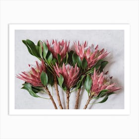 Red King Protea Bouquet Art Print