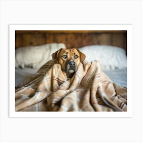 Dog Under A Blanket Art Print