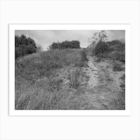 Hill in Black And White Art Print