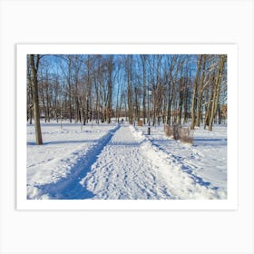 Winter Path In The Park Art Print