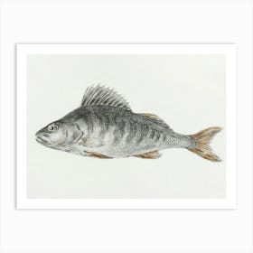 Fish 1, Jean Bernard Art Print