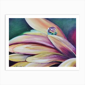 Water Drop On A Flower Art Print