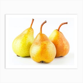 Three Pears Isolated On White Art Print