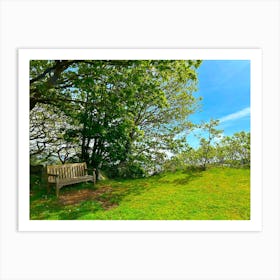 Bench On The Hill Art Print