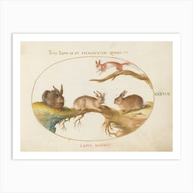 Animalia Qvadrvpedia Et Reptilia, Joris Hoefnagel (3) 1 Art Print